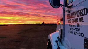 Brayford Sod Farms photo 6